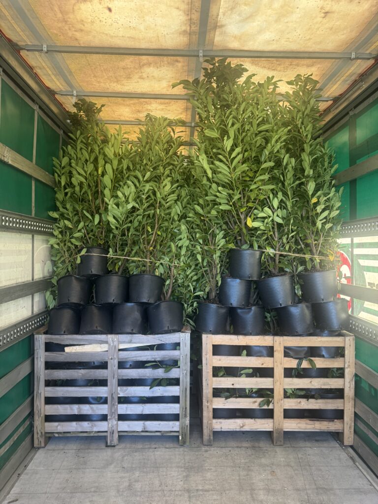 Planter sikret i en 3x34-lastbil